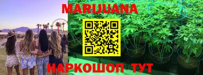 каннабис Гай