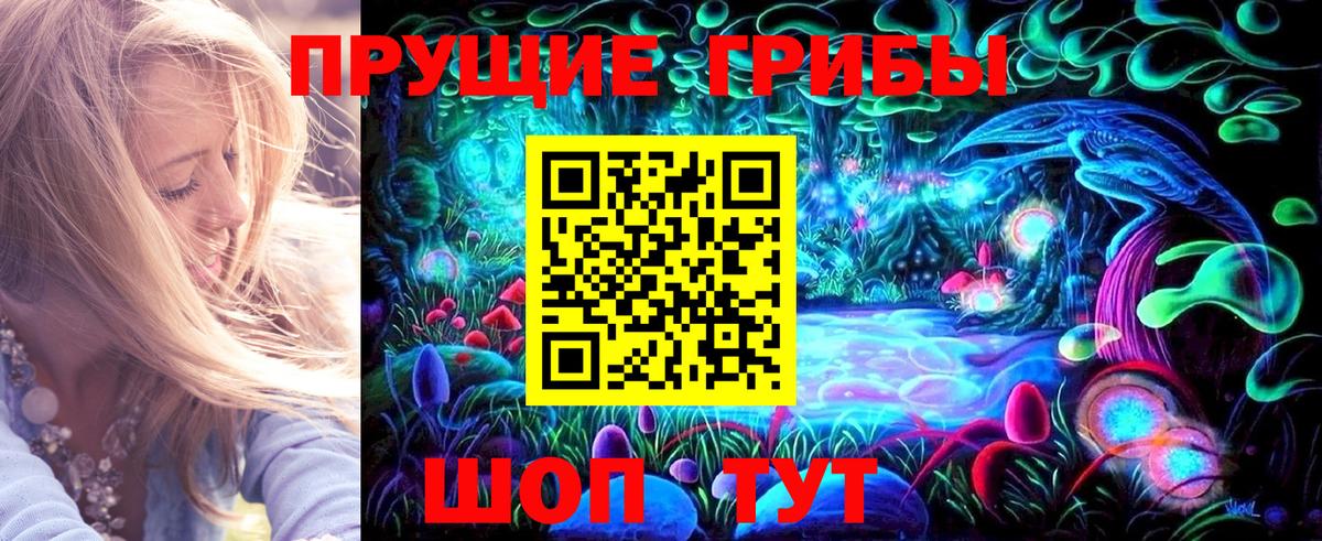 Нижнекамск  Галлюциногенные грибы GOLDEN TEACHER  Псилоцибиновые грибы Cubensis  Вход с VPN 