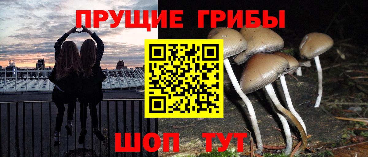 Галлюциногенные грибы GOLDEN TEACHER Нижнекамск